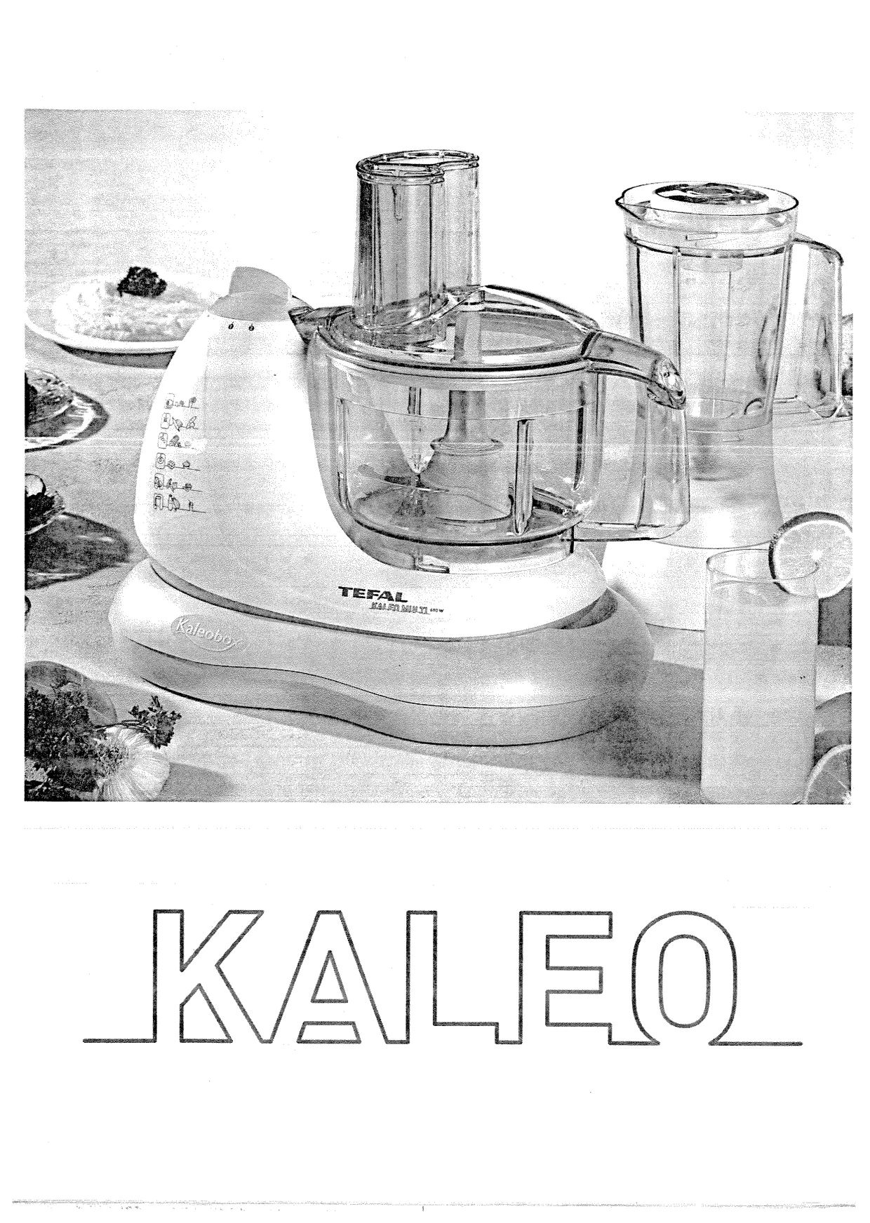 Первая страница инструкции Tefal FP402588